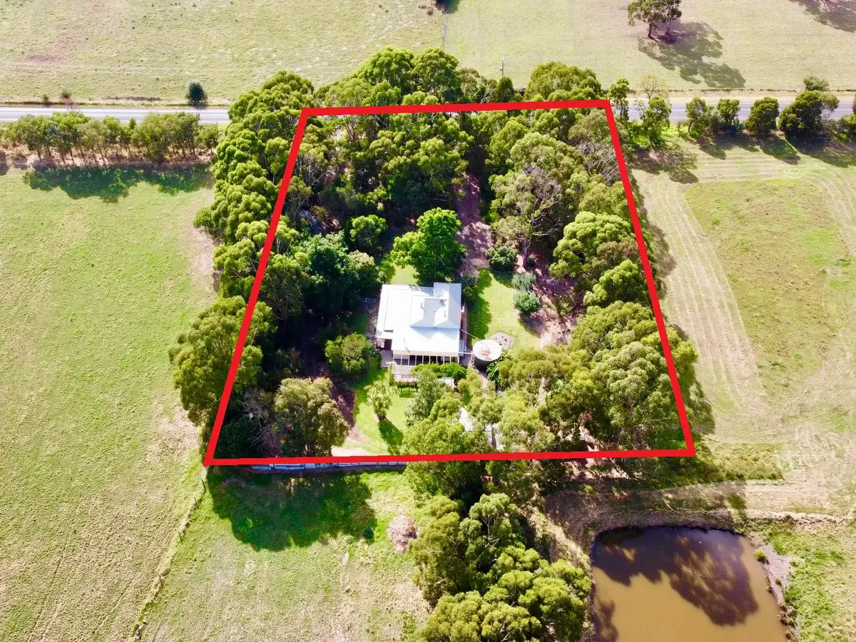 Main view of Homely house listing, 69 Timboon - Terang Road, Ecklin South VIC 3265