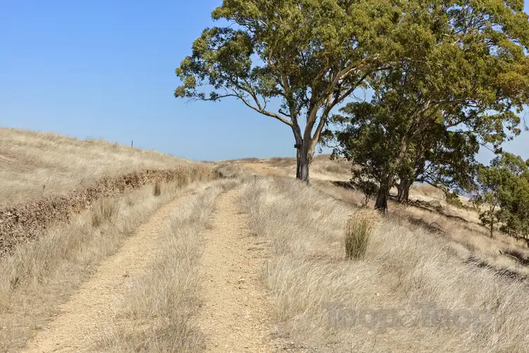 Sixth view of Homely land listing, 81A Ridge Road, Summertown SA 5141