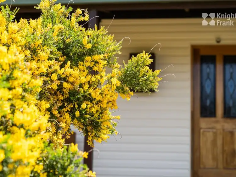 Fifth view of Homely house listing, 39 Main Road, Weldborough TAS 7264