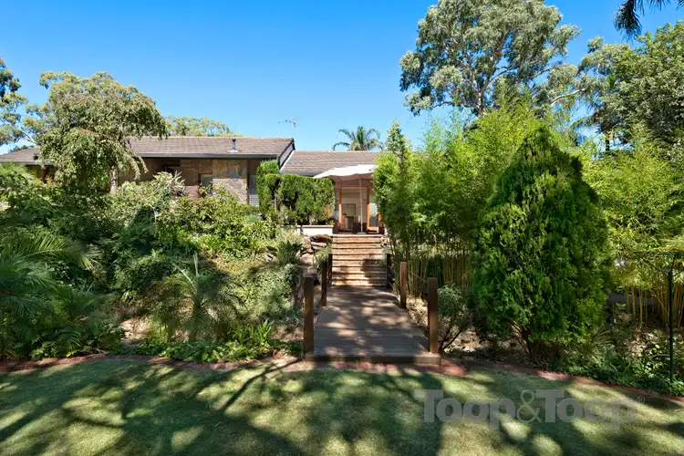 84 Littler Drive, Fairview Park SA 5126