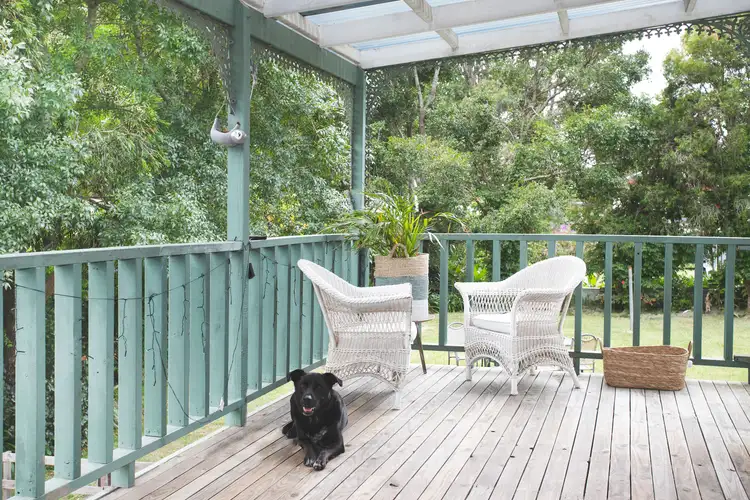 Main view of Homely house listing, 10 Oriole Street, Bawley Point NSW 2539