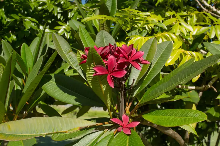 Fourth view of Homely house listing, 3994 Big River Way, Tyndale NSW 2460