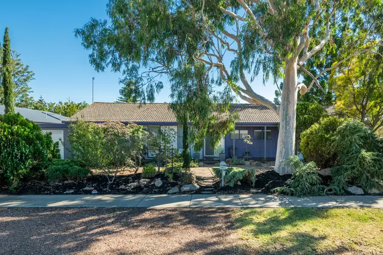 Second view of Homely house listing, 27 Gilchrist Street, Shepparton VIC 3630