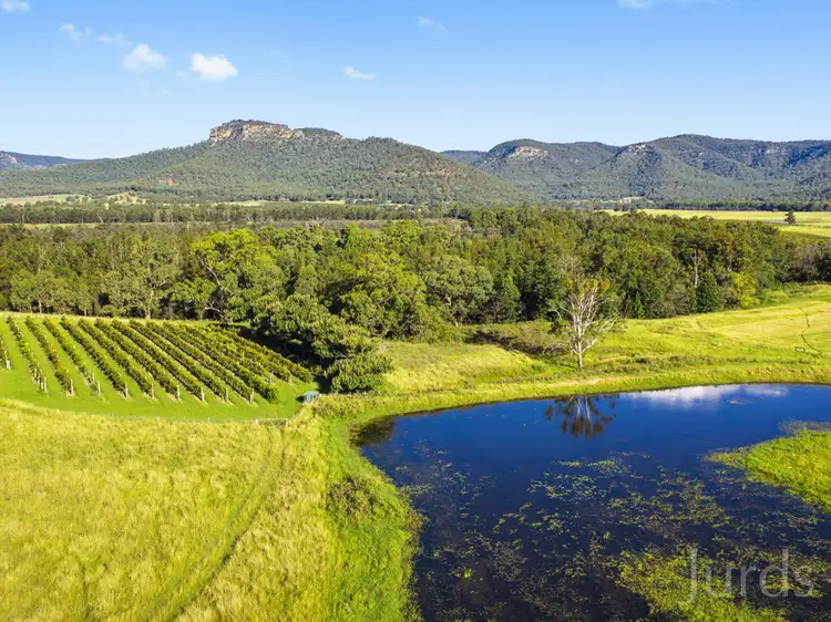 Fourth view of Homely rural property listing, 87 Adams Peak Road, Broke NSW 2330