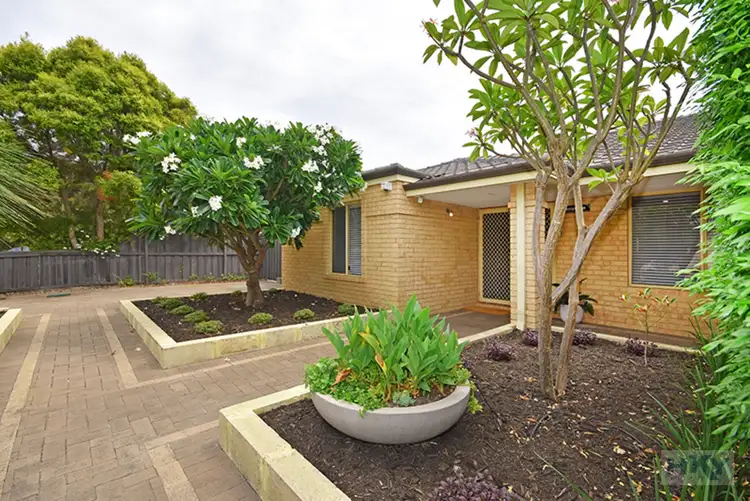 Seventh view of Homely house listing, 11 Sauvignon Avenue, The Vines WA 6069