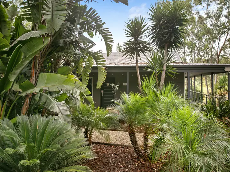 Second view of Homely rural property listing, 280 Old North Road, Pokolbin NSW 2320