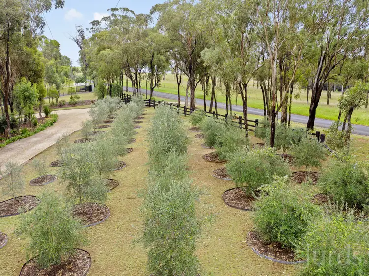 Fourth view of Homely rural property listing, 280 Old North Road, Pokolbin NSW 2320