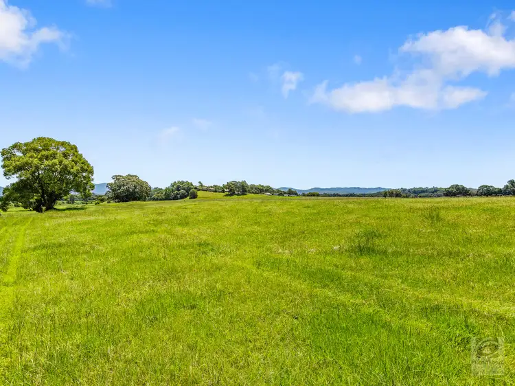 Sixth view of Homely rural property listing, 49 Elouera Terrace, Bray Park NSW 2484