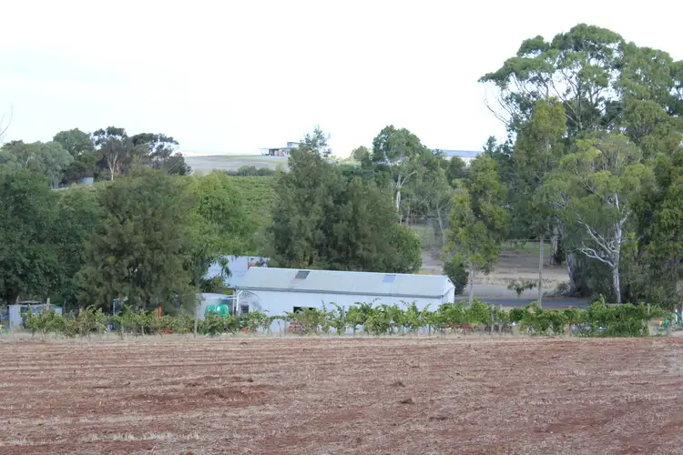 Fifth view of Homely land listing, Lot 504 High Street, Leasingham SA 5452
