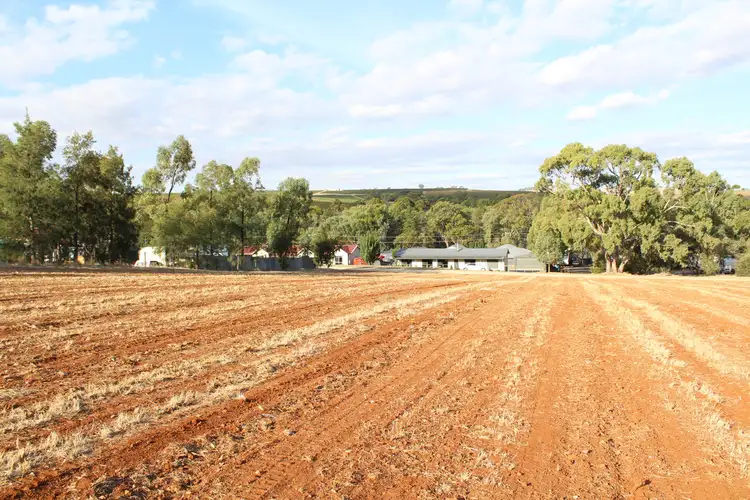 Second view of Homely land listing, LOT 501, 503 & 505 Norman Street, Leasingham SA 5452