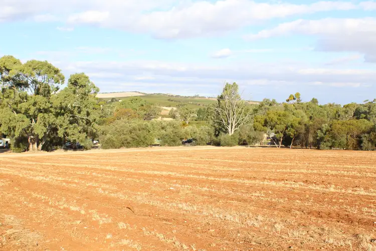 Fifth view of Homely land listing, LOT 501, 503 & 505 Norman Street, Leasingham SA 5452