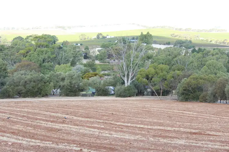 Sixth view of Homely land listing, LOT 501, 503 & 505 Norman Street, Leasingham SA 5452