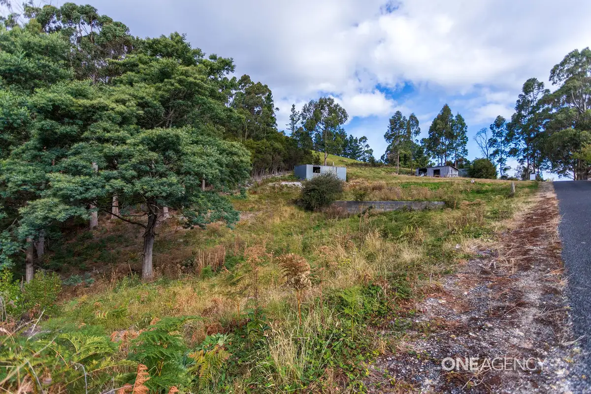 Main view of Homely land listing, 53 Maydena Road, Stowport TAS 7321