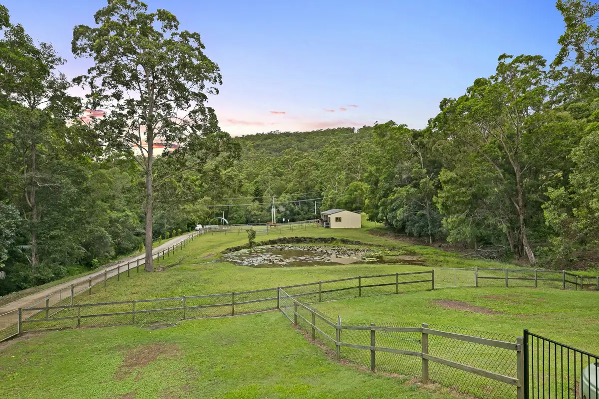 Main view of Homely house listing, 653 Bonogin Road, Bonogin QLD 4213