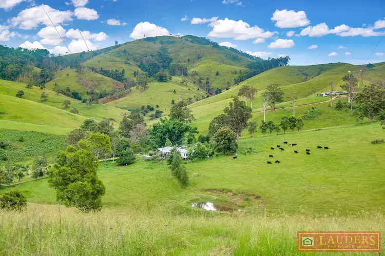 Main view of Homely rural property listing, 468 Turnback Road, Wherrol Flat NSW 2429