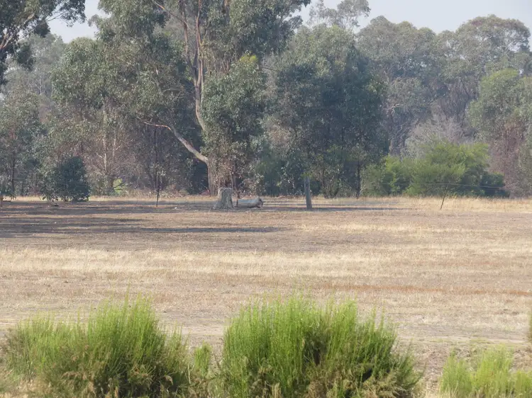 Fourth view of Homely other listing, 558 Heathcote North Costerfield Road, Heathcote VIC 3523