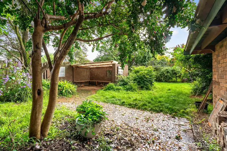 Fifth view of Homely house listing, 3 Coomassie Avenue, Faulconbridge NSW 2776