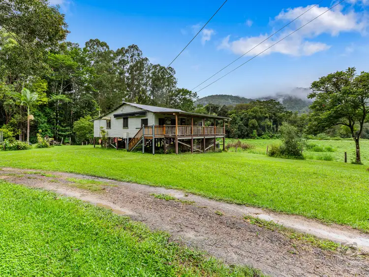 Main view of Homely rural property listing, 41 Solomons Road, Mount Warning NSW 2484