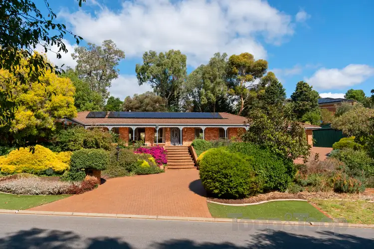 Main view of Homely house listing, 19 Dalinga Court, Greenwith SA 5125