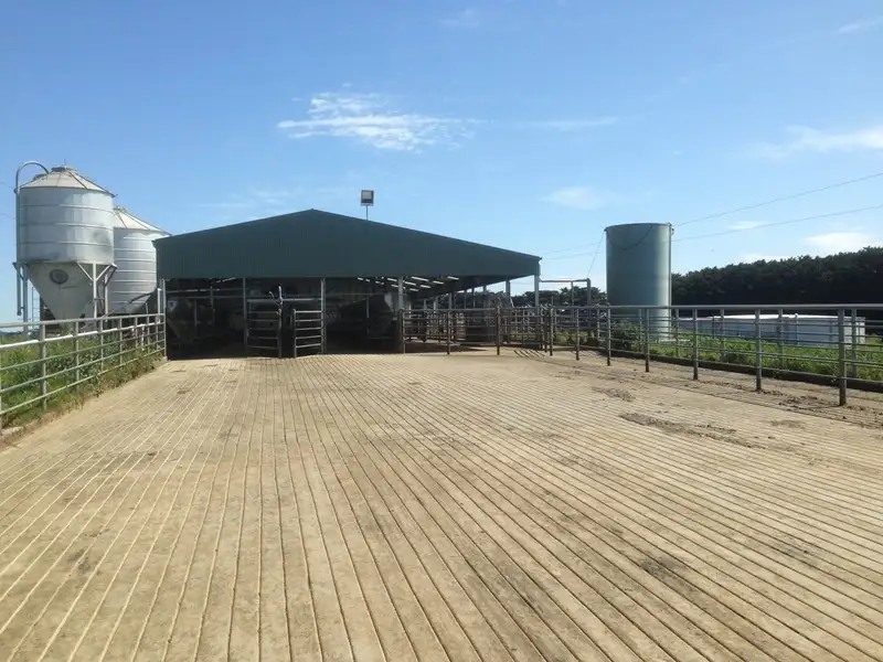 Main view of Homely rural property listing, 680 Wiridgil Lane, Camperdown VIC 3260