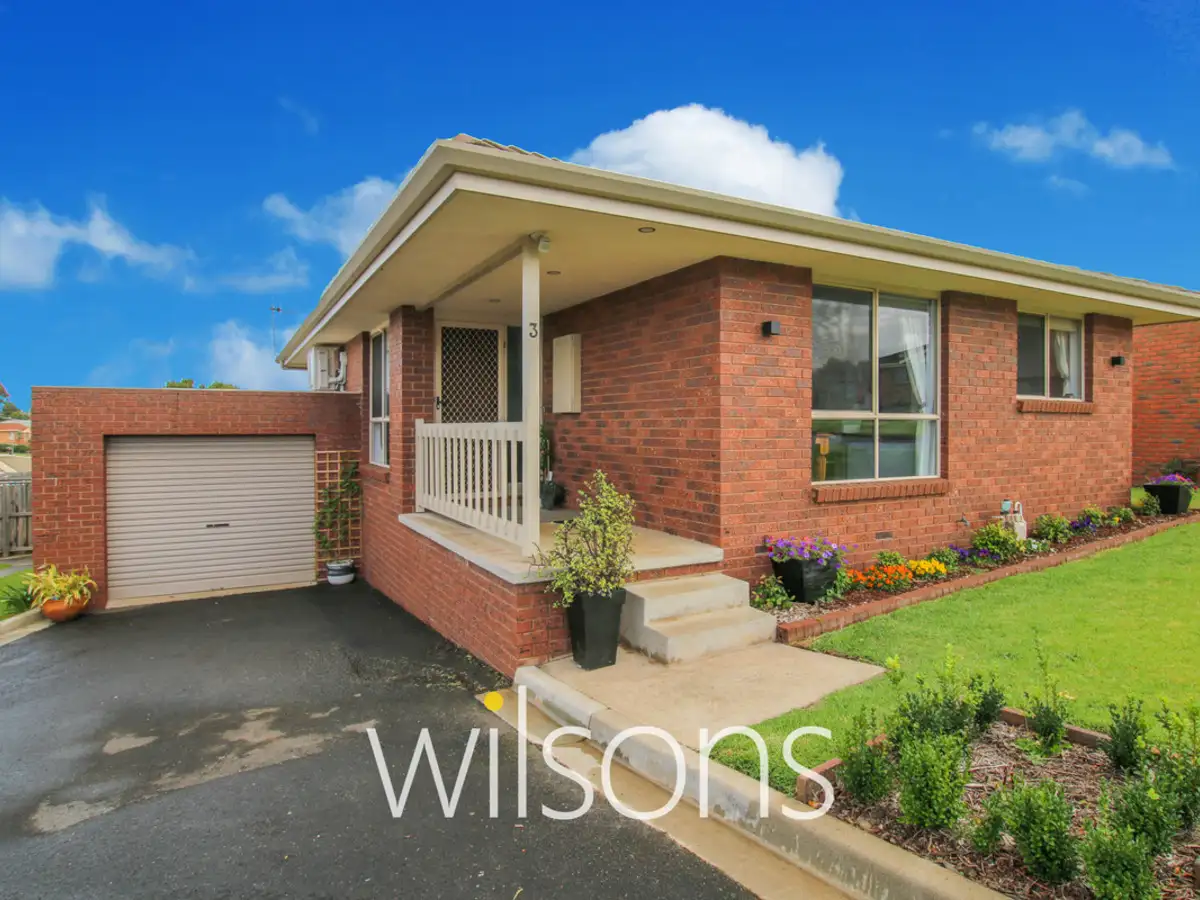 Main view of Homely flat listing, 3/19 Nayler Crescent, Warrnambool VIC 3280