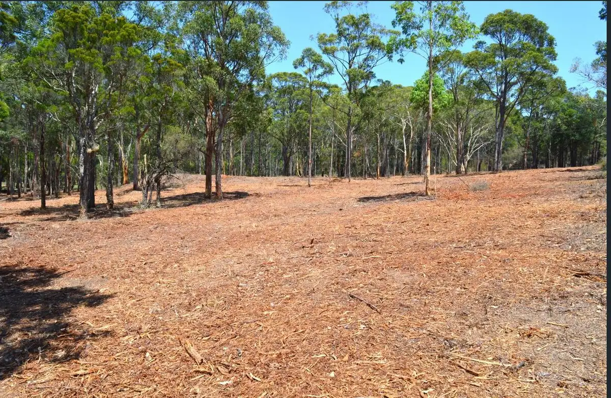 Main view of Homely land listing, 706 Sandy Creek Road, Quorrobolong NSW 2325
