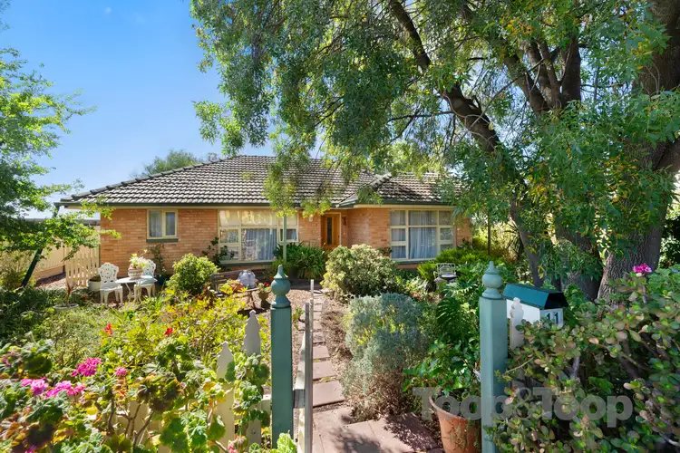 11 Trevor Avenue, Rostrevor SA 5073