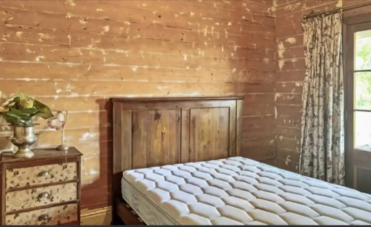 Fourth view of Homely rural property listing, 1450 Princes Highway, Pirron Yallock VIC 3249