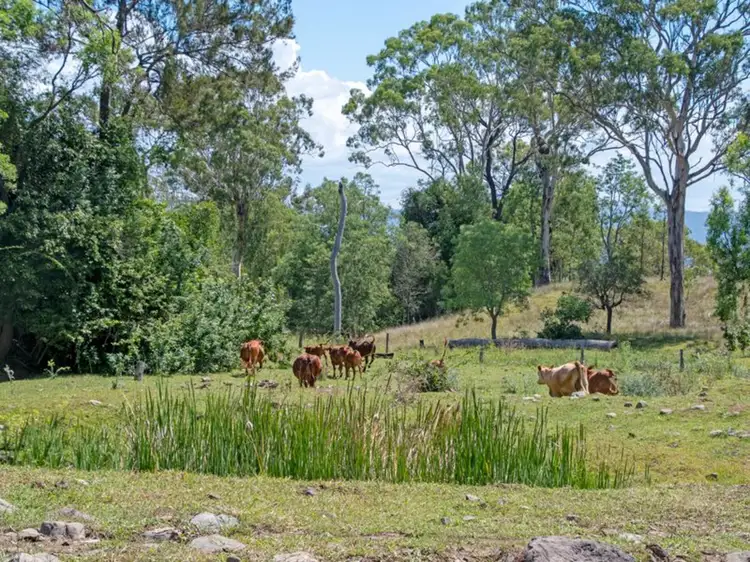 59 Coleyville Cemetery Road, Coleyville QLD 4307