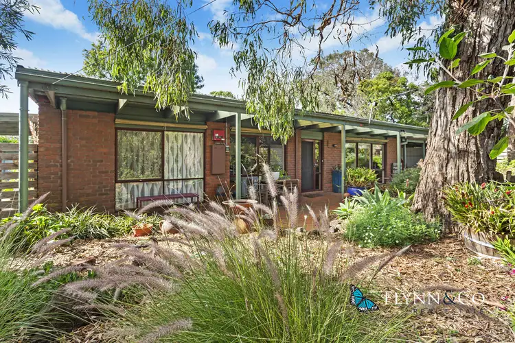 58 York Street, Rosebud VIC 3939