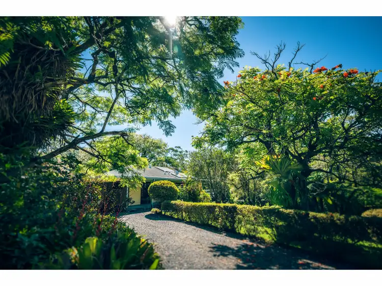 Main view of Homely house listing, 72 Scotchman Road, Bellingen NSW 2454