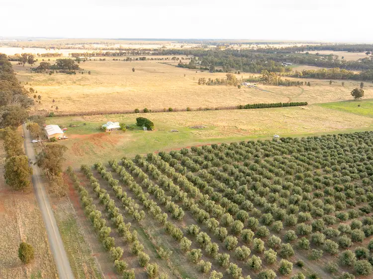 Main view of Homely rural property listing, LOT 1 Gibb Road, Toolleen VIC 3551