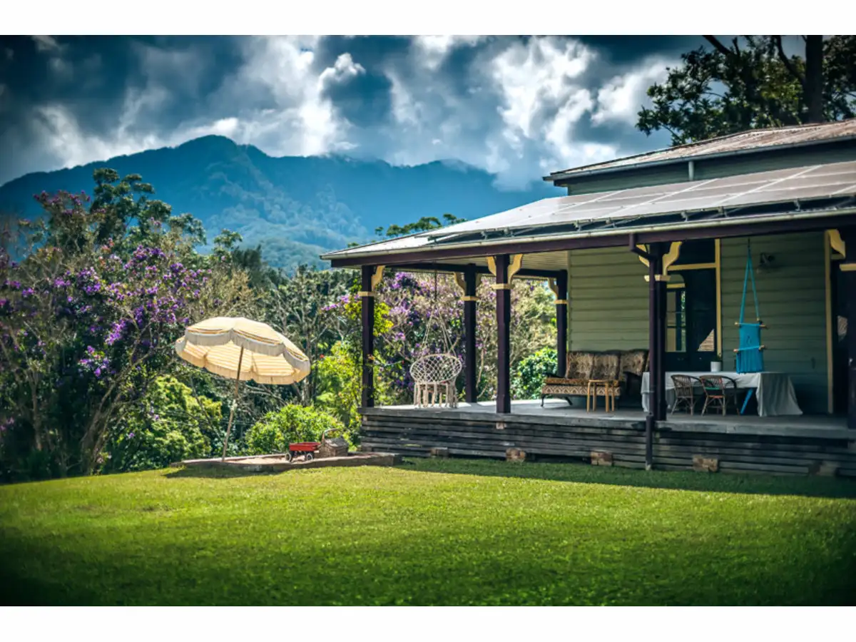 Main view of Homely rural property listing, 153 Darkwood Road, Bellingen NSW 2454