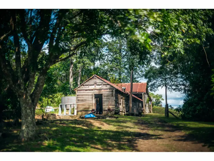 Fifth view of Homely rural property listing, 153 Darkwood Road, Bellingen NSW 2454