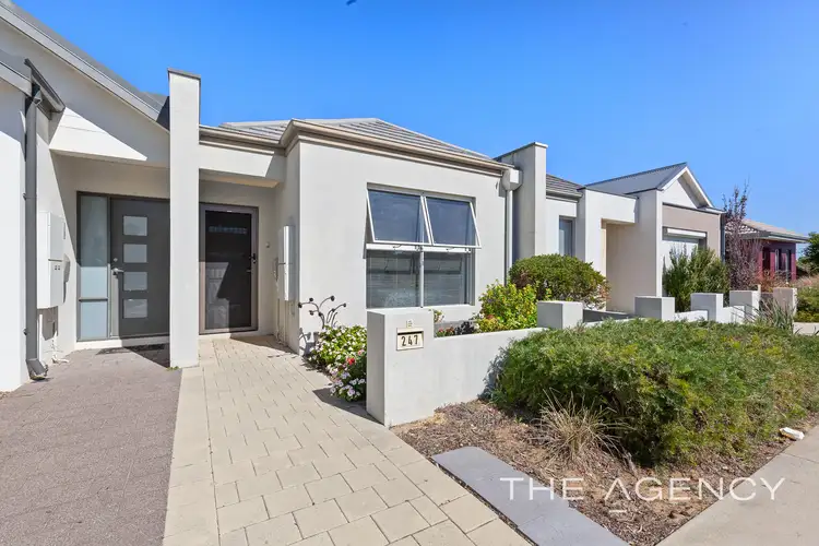 Main view of Homely house listing, 247 Camborne Parkway, Butler WA 6036