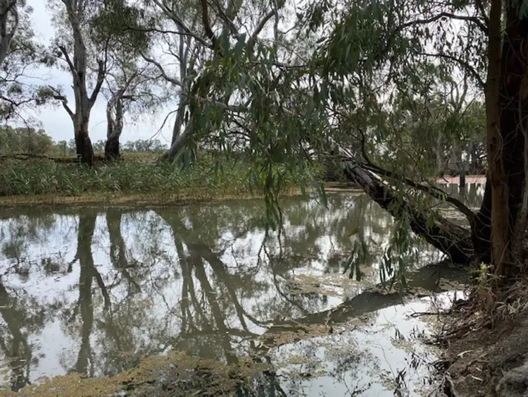 Second view of Homely house listing, 101 Glenview Drive, Barham NSW 2732