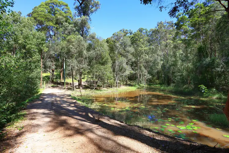 Sixth view of Homely house listing, 65 Henri Robert Drive, Clagiraba QLD 4211