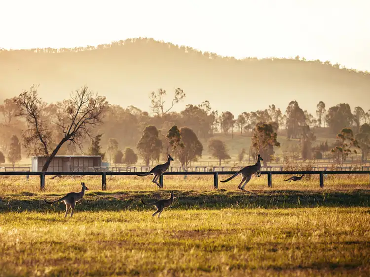 Fifth view of Homely land listing, LOT 232 Stockyard Parade, Muswellbrook NSW 2333