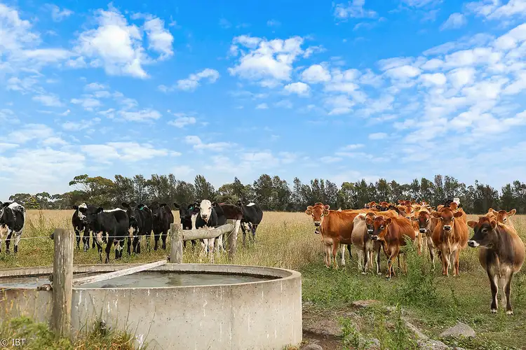 Third view of Homely rural property listing, 3925 Corangamite Lake, Beeac VIC 3251