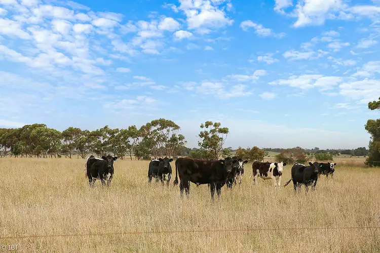 Fourth view of Homely rural property listing, 3925 Corangamite Lake, Beeac VIC 3251