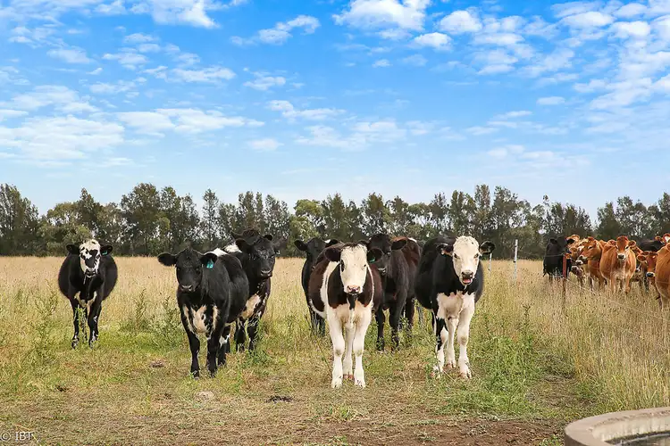 Sixth view of Homely rural property listing, 3925 Corangamite Lake, Beeac VIC 3251
