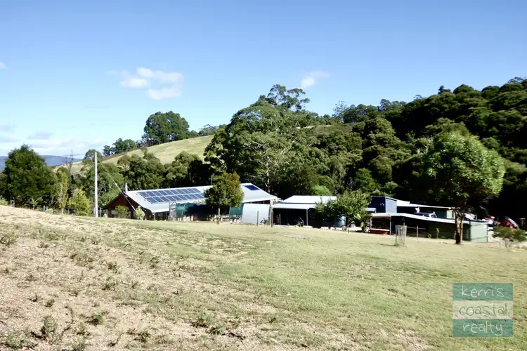 Sixth view of Homely rural property listing, 309 Gardiners Creek Road, St Marys TAS 7215