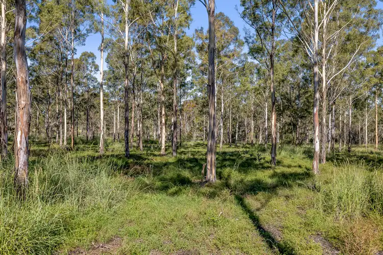 Third view of Homely land listing, LOT 443 Gowrie Tilgonda Road, Gowrie Junction QLD 4352
