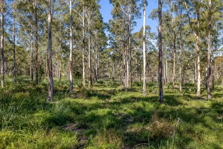 Fourth view of Homely land listing, LOT 443 Gowrie Tilgonda Road, Gowrie Junction QLD 4352