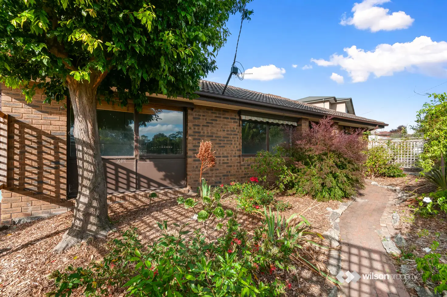 Main view of Homely house listing, 3 Burnet Place, Traralgon VIC 3844