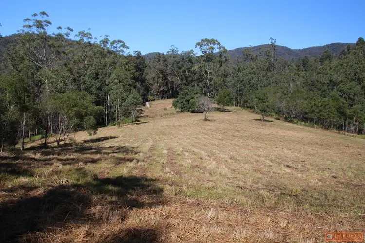 Second view of Homely rural property listing, 1380 Caparra Road, Caparra NSW 2429