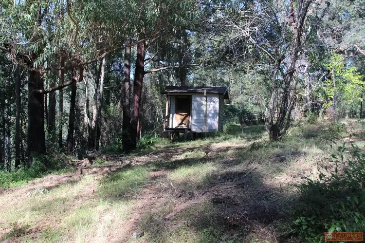 Third view of Homely rural property listing, 1380 Caparra Road, Caparra NSW 2429