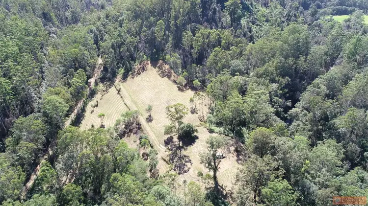 Fourth view of Homely rural property listing, 1380 Caparra Road, Caparra NSW 2429