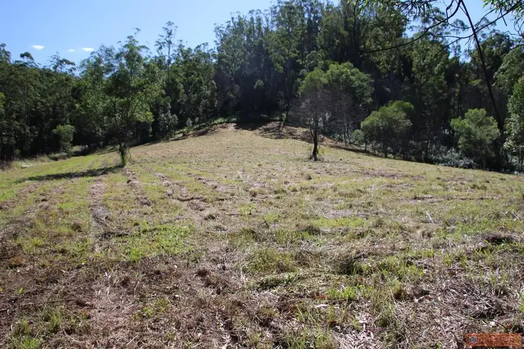 Fifth view of Homely rural property listing, 1380 Caparra Road, Caparra NSW 2429