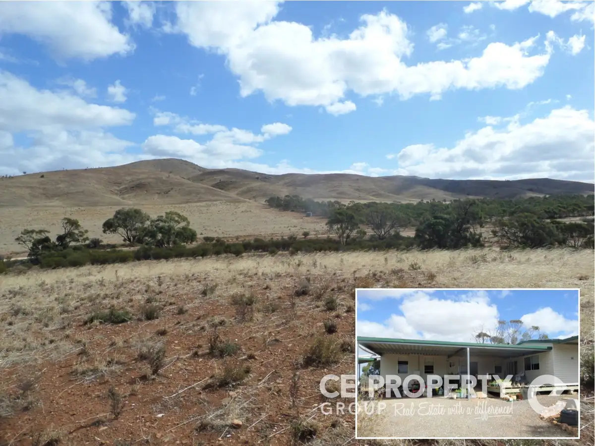 Main view of Homely house listing, 31 Pohl Road, Sanderston SA 5237